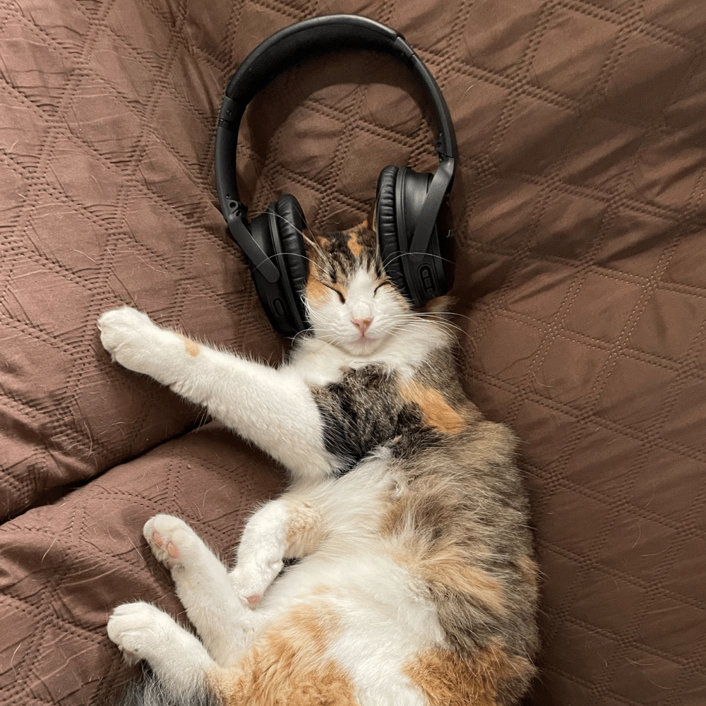 Best Headphones with Cat Ears